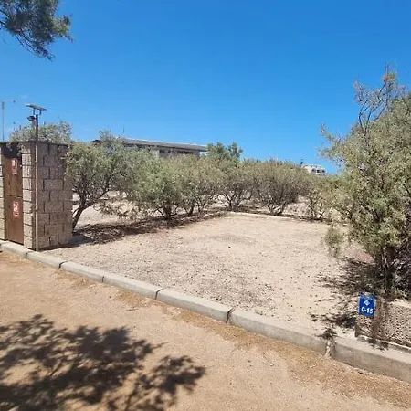 Camping Montana Roja * El Medano (Tenerife)